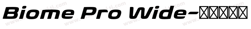 Biome Pro Wide字体转换